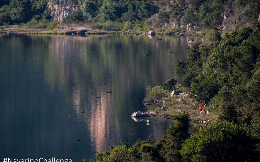 Navarino Challenge 2016